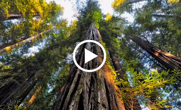 Image is not available