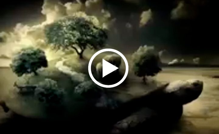 Image is not available