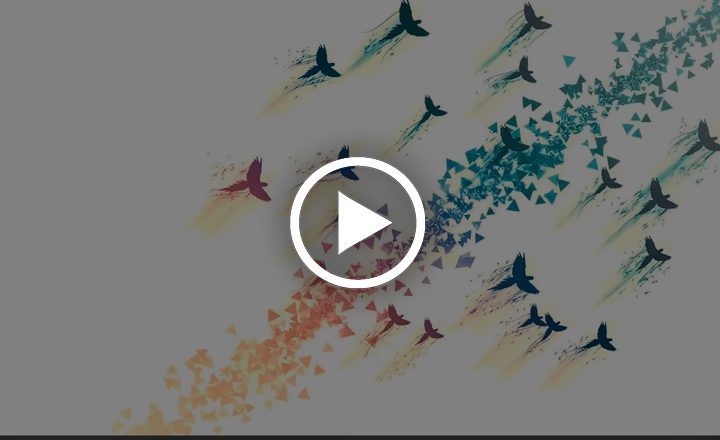 Image is not available