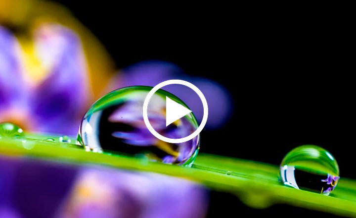 Image is not available