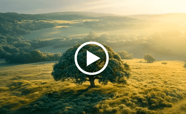 Image is not available