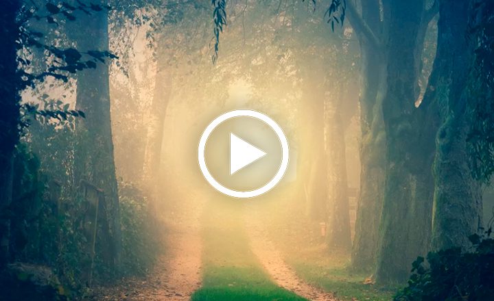 Image is not available