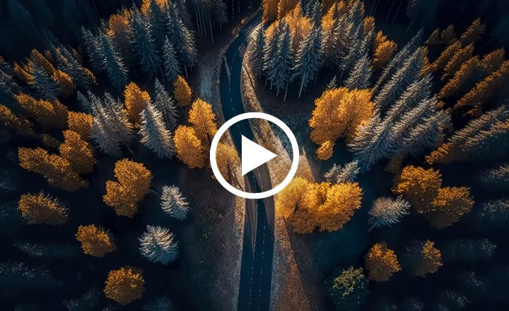 Image is not available