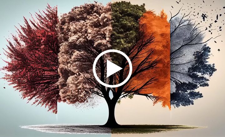 Image is not available