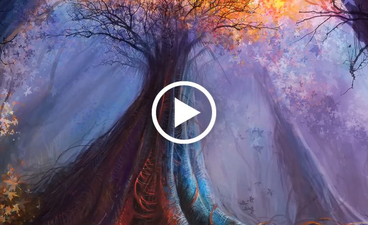 Image is not available